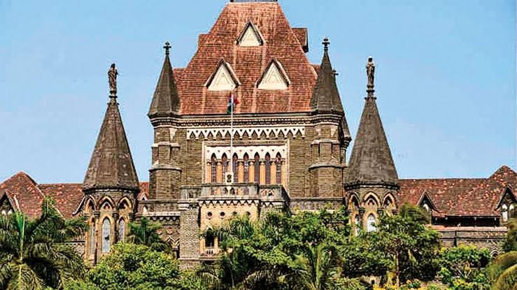Courtroom Advocacy of Yadav & Co.