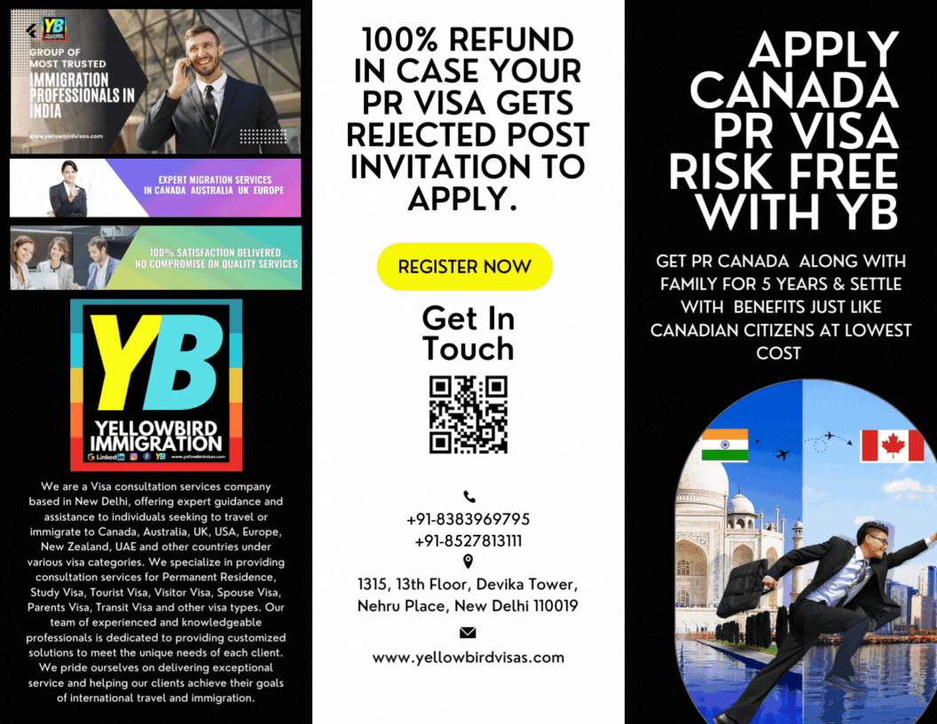 Visa Experts of Yellowbird Immigration | Best Immigration Consultants in Delhi