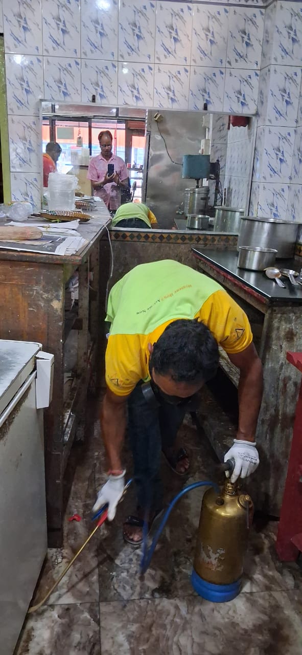 Ma Pest Control LLP - Pest Control in Kasba, Kolkata