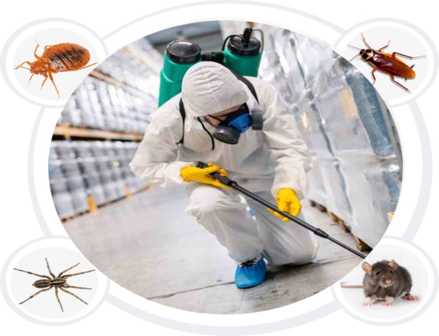 North Wala Pest Control Service  Vasai West Vasai