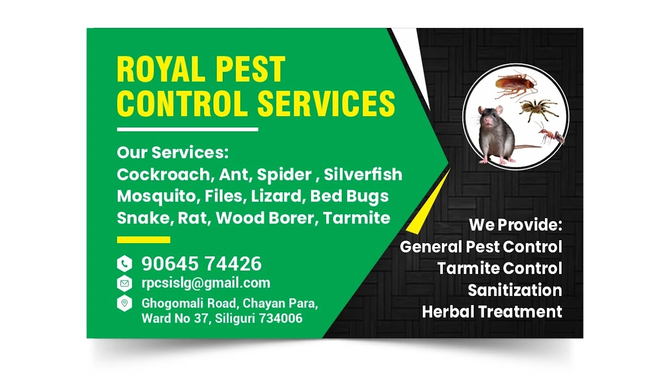 Royal Pest Control Services - Pest Control in Dabgram, Siliguri