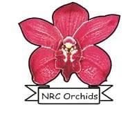 National Research Centre for Orchids - [ICAR] image