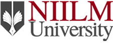 NIILM University image
