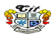Central Institute Of Technology image