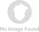 Government Polytechnic Roing image