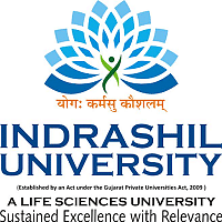Indrashil University Rajpur image