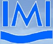 International Maritime Institute image