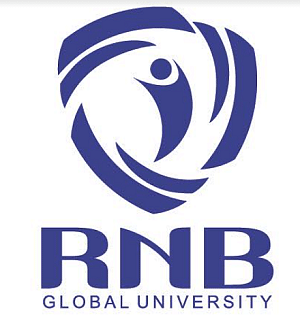 Rnb Global University image