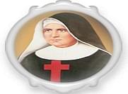Mother Vannini College of Nursing - [MVCN] image