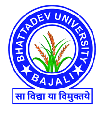Bhattadev University image