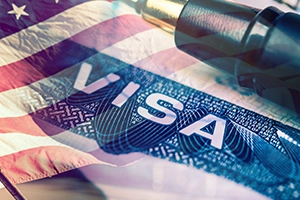 Visa Consultants