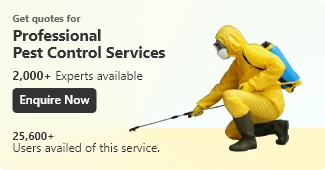 Pest control service