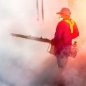 Fumigation services