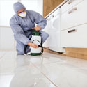 Pest control service