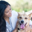 Pet clinic service