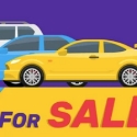 Used Car Dealers