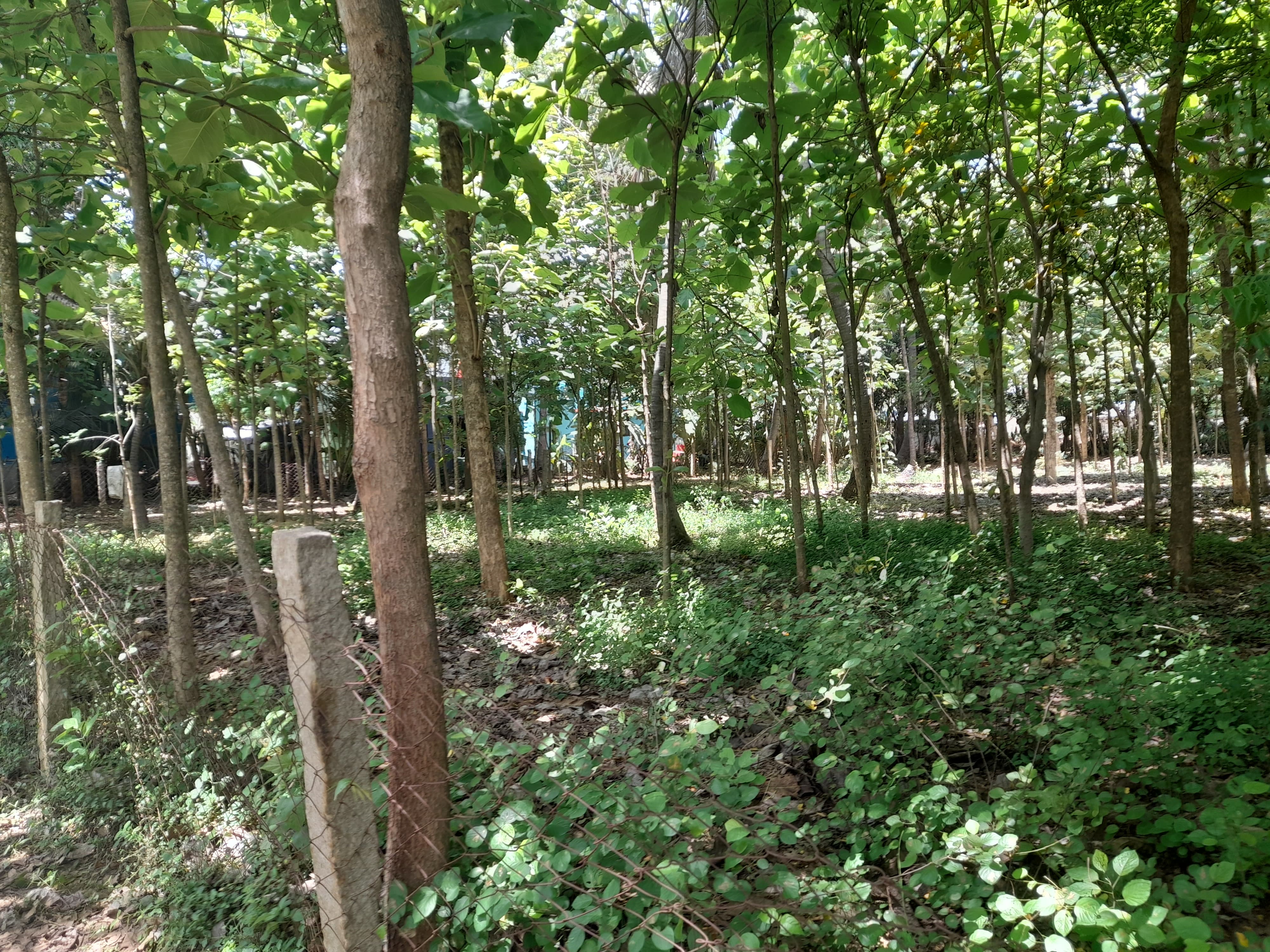 9216 sqft Plots & Land for in Madurai Main Road