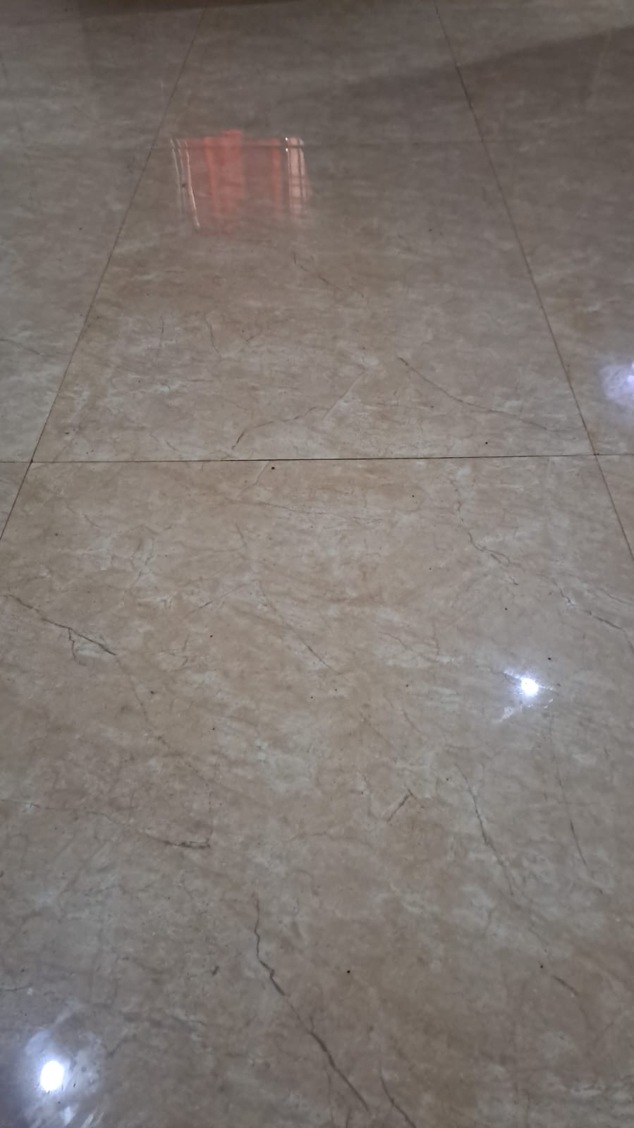 2 BHK Residential Apartment for Lease Only in Gavipuram Extension